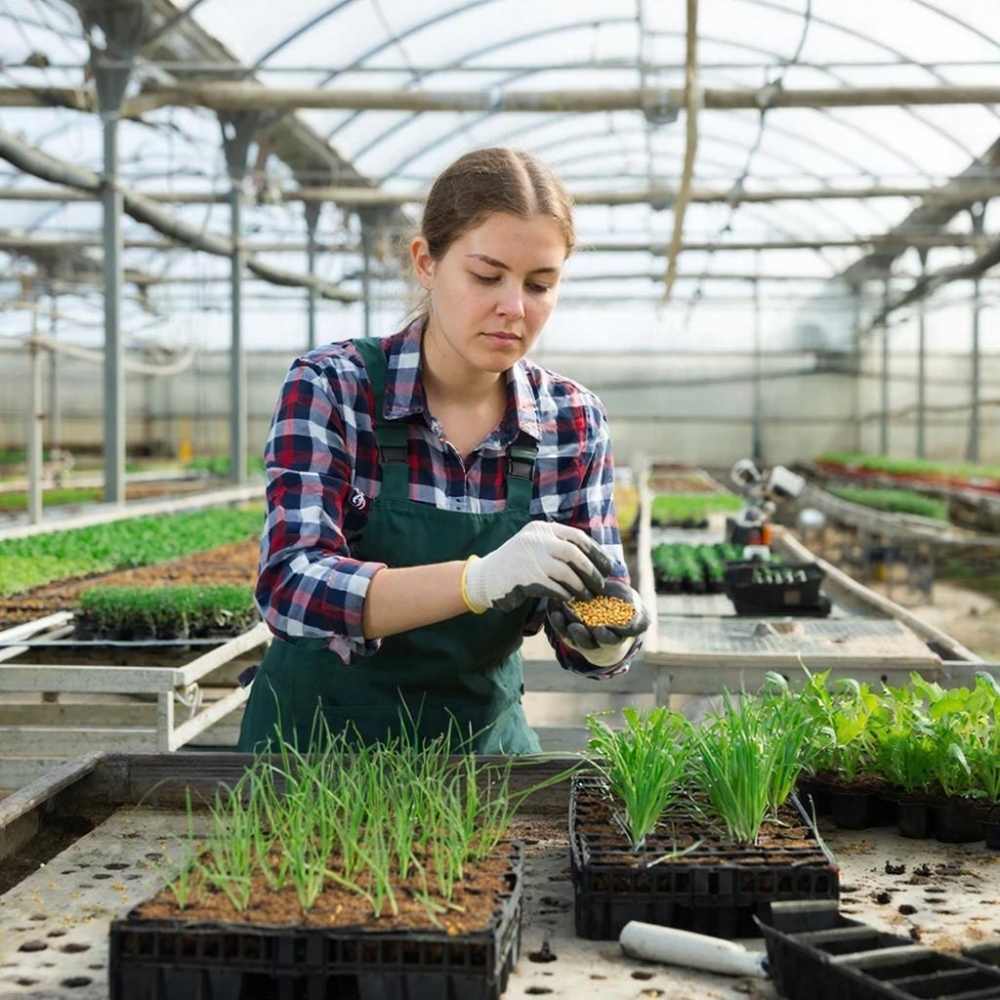 Система семеноводства, апробация сортовых посевов и отбор проб семян сельскохозяйственных культур