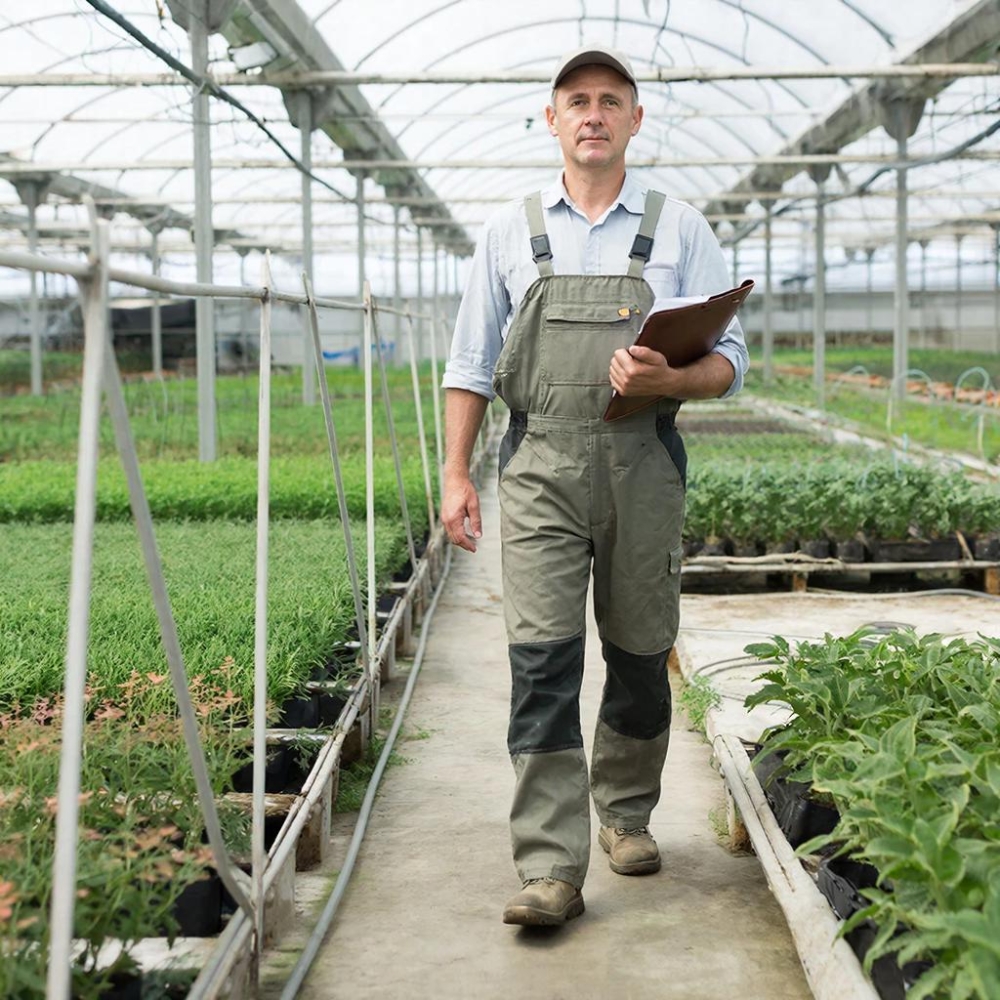 Сельское хозяйство