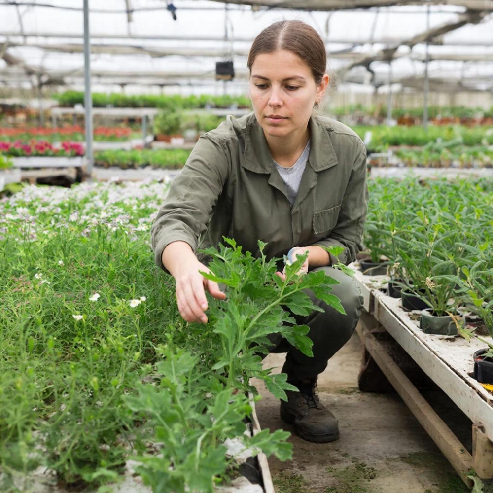 Современные технологии производства и защиты растений