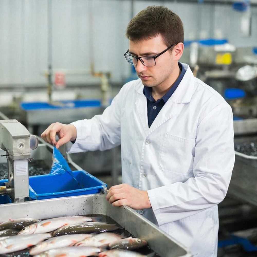 Рыбоводство. Организация товарного выращивания рыбы и гидробионтов в прудах