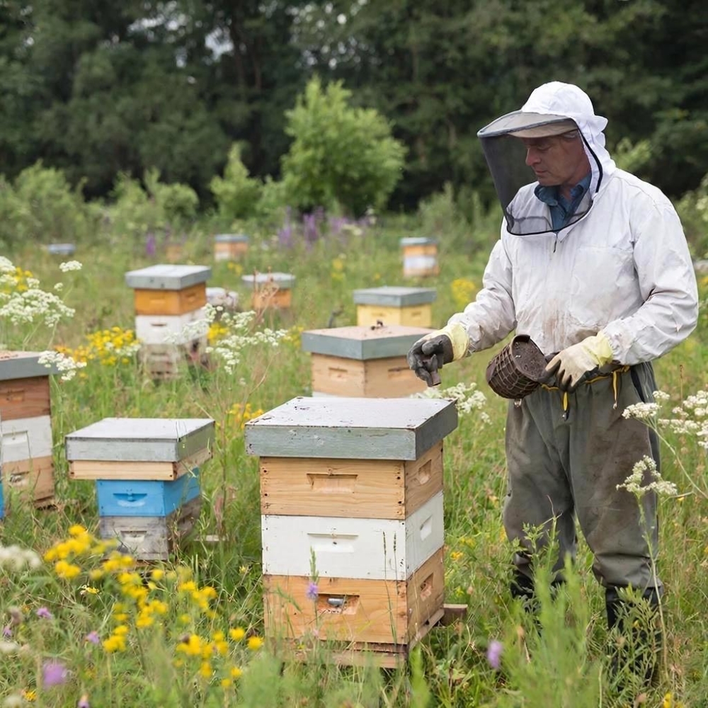 Пчеловодство. Организация высокоэффективной пасеки