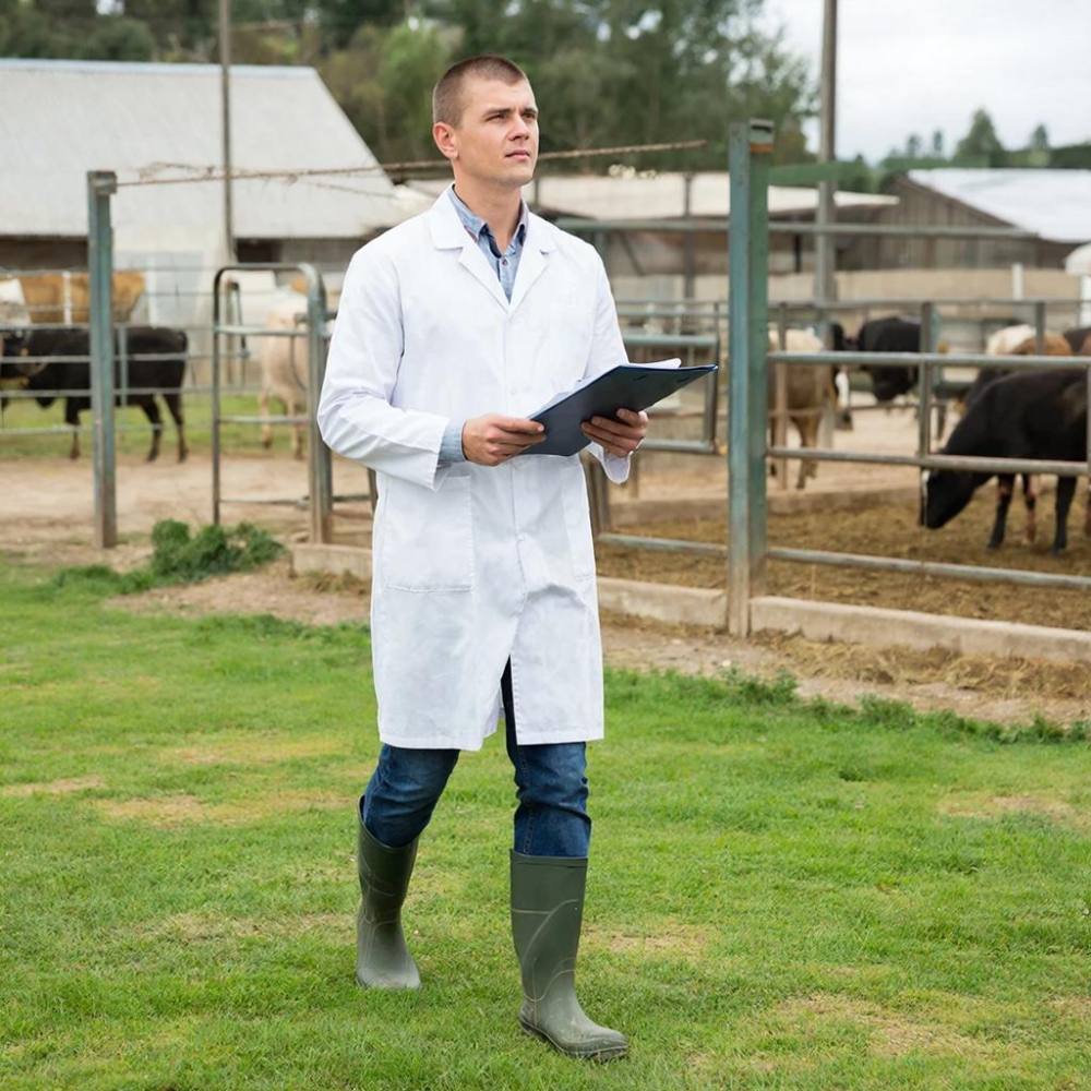 Животноводство